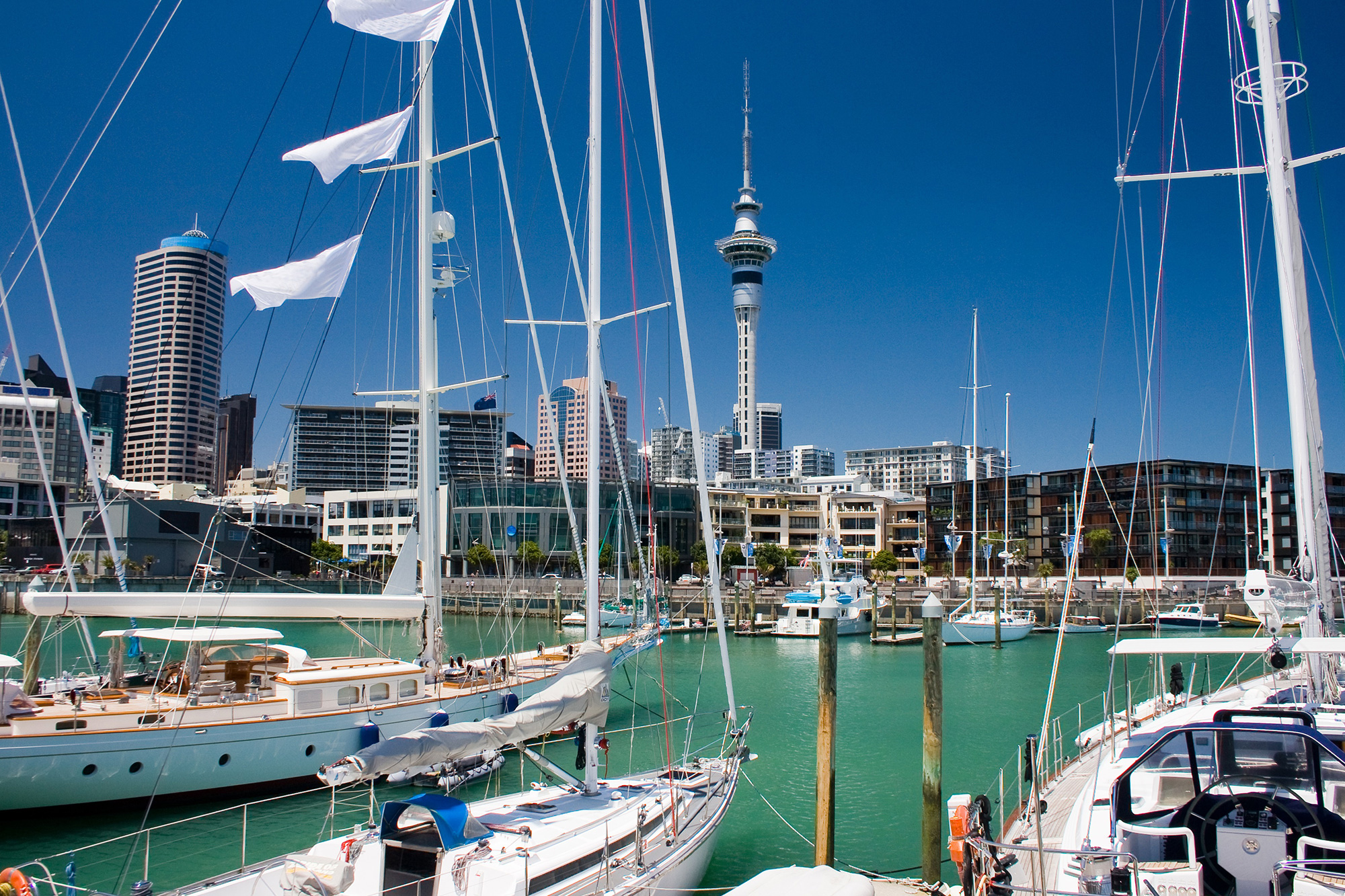 Auckland,-New-Zealand-by-Dmitri-Ogleznev