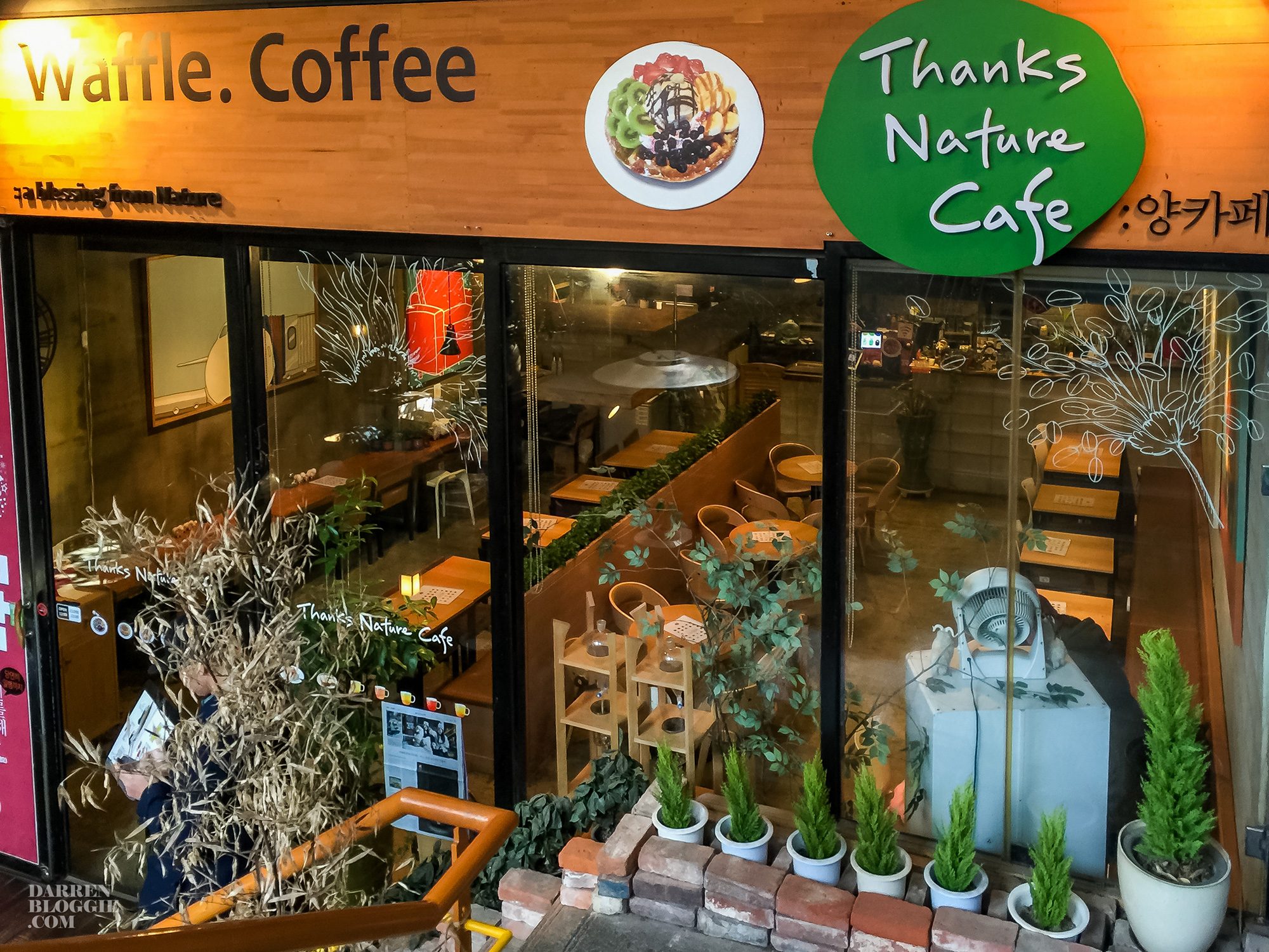 thanks-nature-cafe-sheep-hongdae-seoul-korea-2