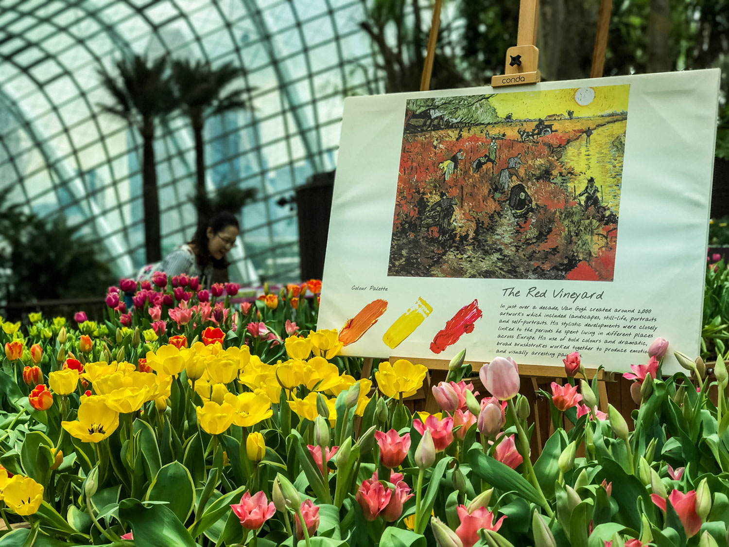 Tulipmania Inspired at Gardens by the Bay Flower Dome