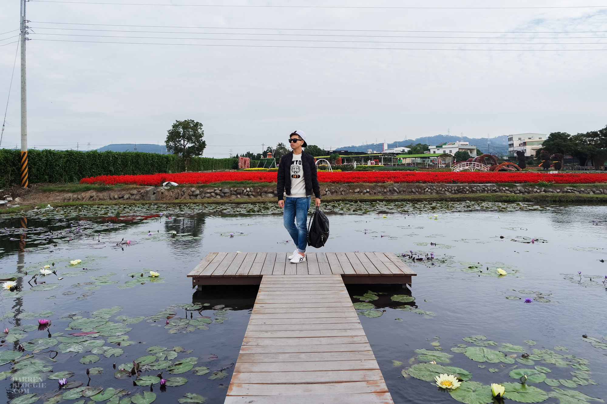 Xinshe Sea of Flowers 新社花海