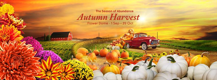 Autumn Harvest Floral Display