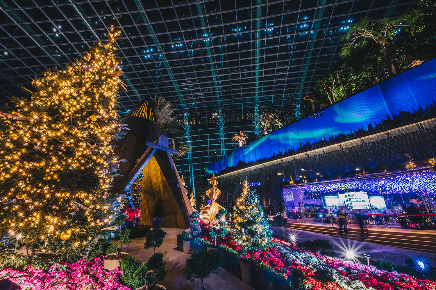 Poinsettia Wishes at Gardens by the Bay