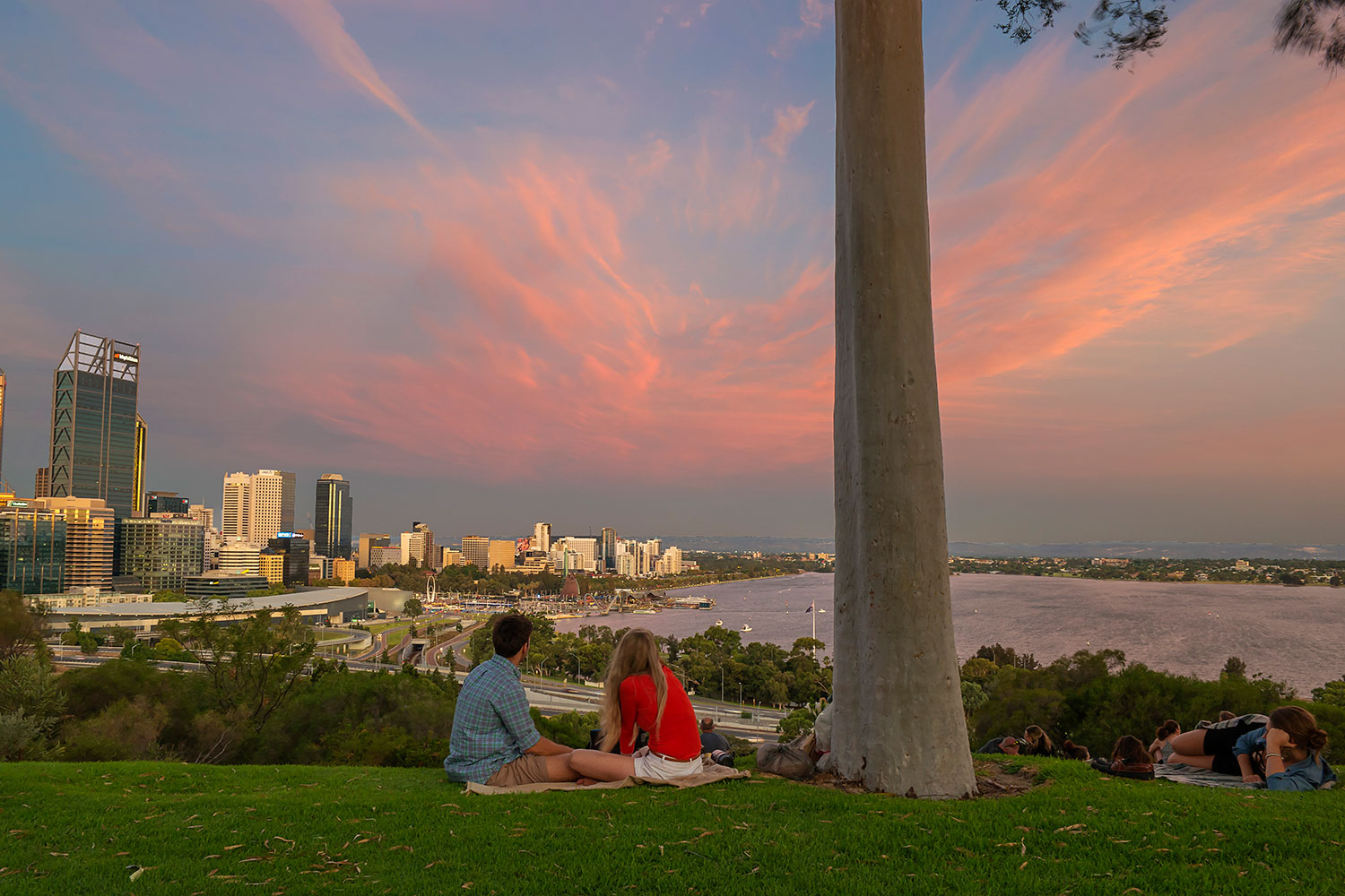 Kings Park and Botanical Garden