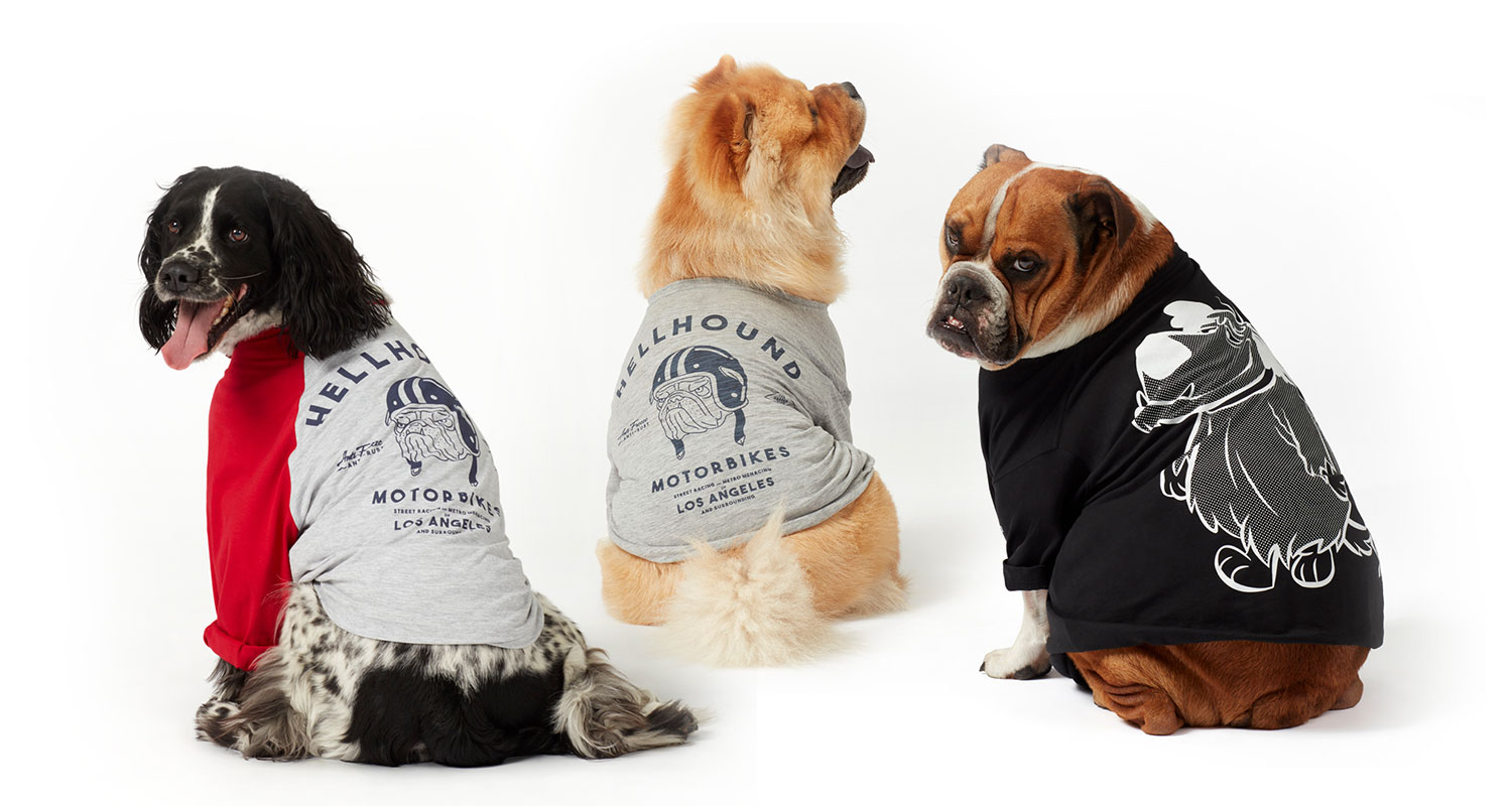 Purchase any Dog-Print Product from Cotton On for a Paw-sitive Cause!