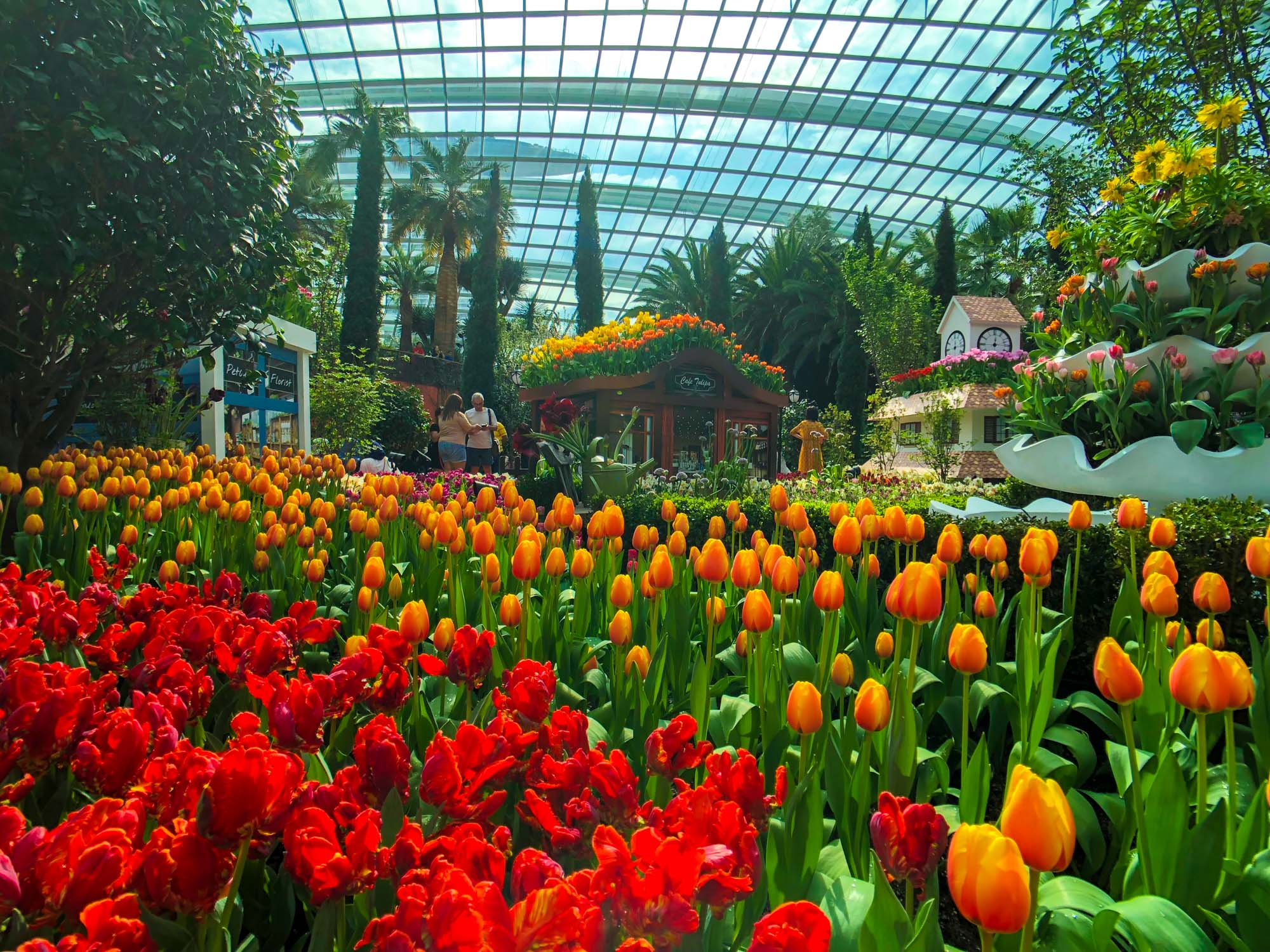 Tulipmania at Gardens by the Bay