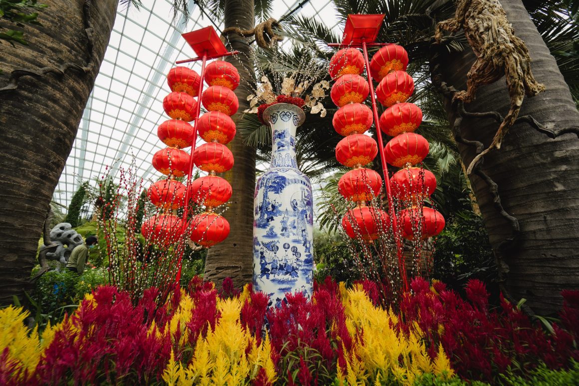 Dahlia Dreams at Gardens by the Bay