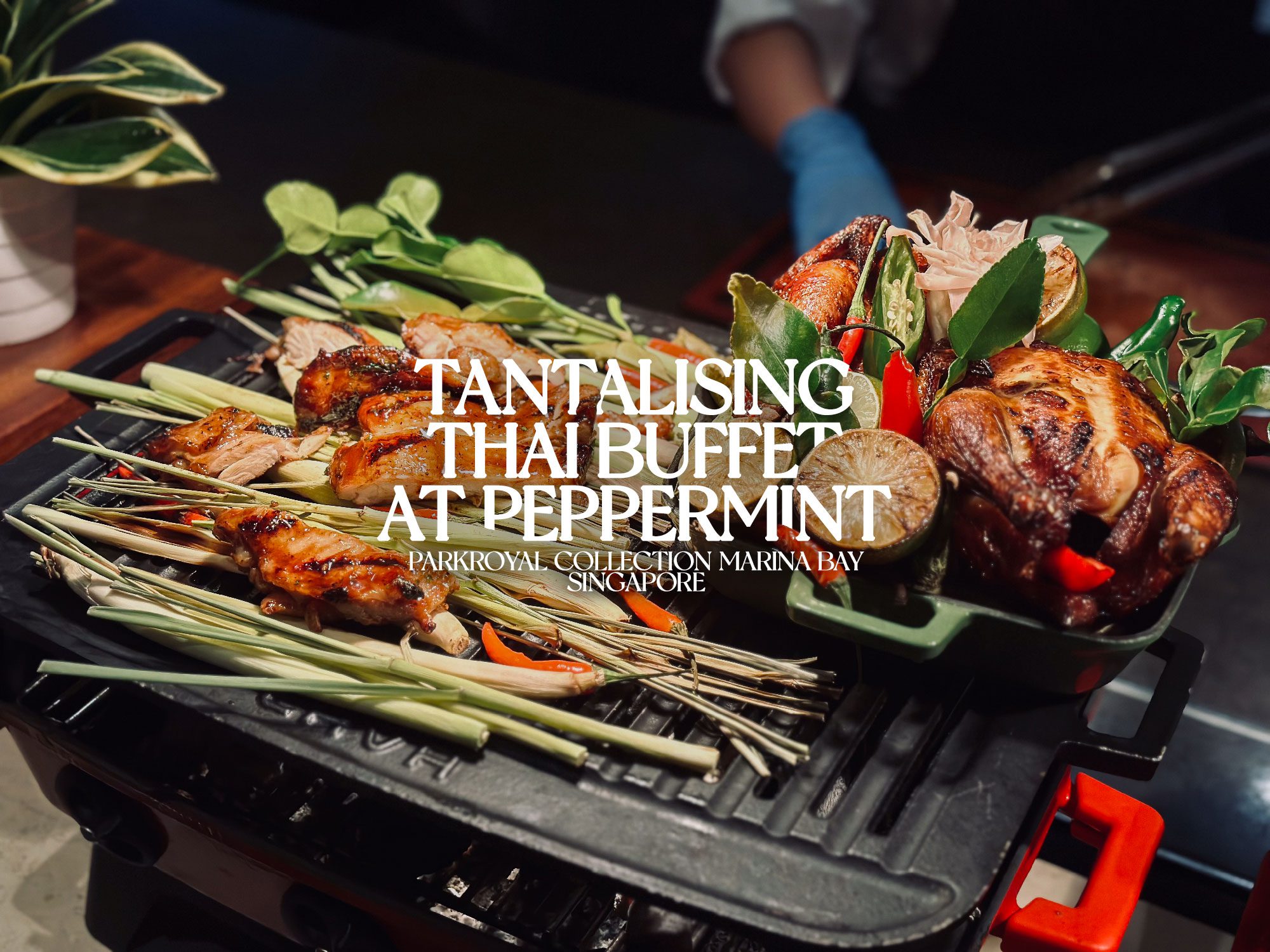 Peppermint Presents Tantalising Thai With Authentic Thai Dishes Darren Bloggie Singapore