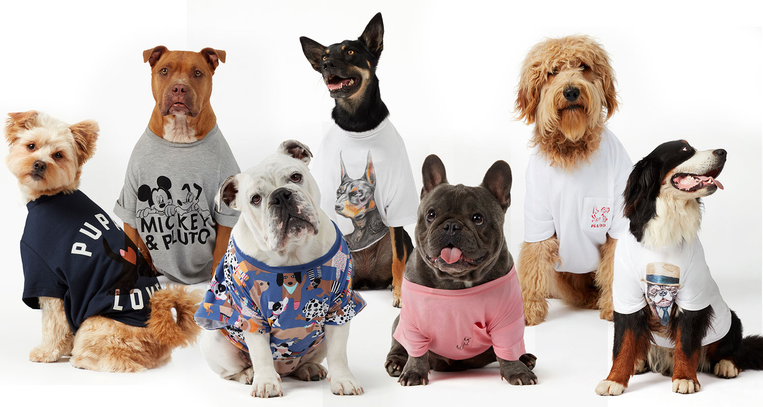 Purchase any Dog-Print Product from Cotton On for a Paw-sitive Cause!