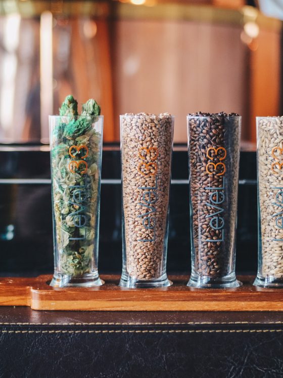 Experience The Craft Beer Scene With LeVeL33’s Brewery Tour