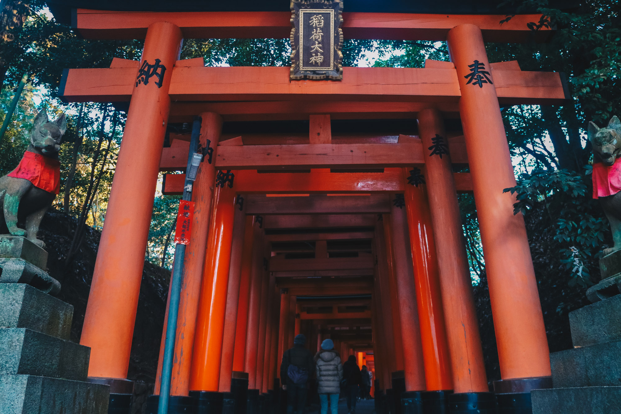 Fushimi-Inari-taisha-japan-kyoto-torigate-darrenbloggie