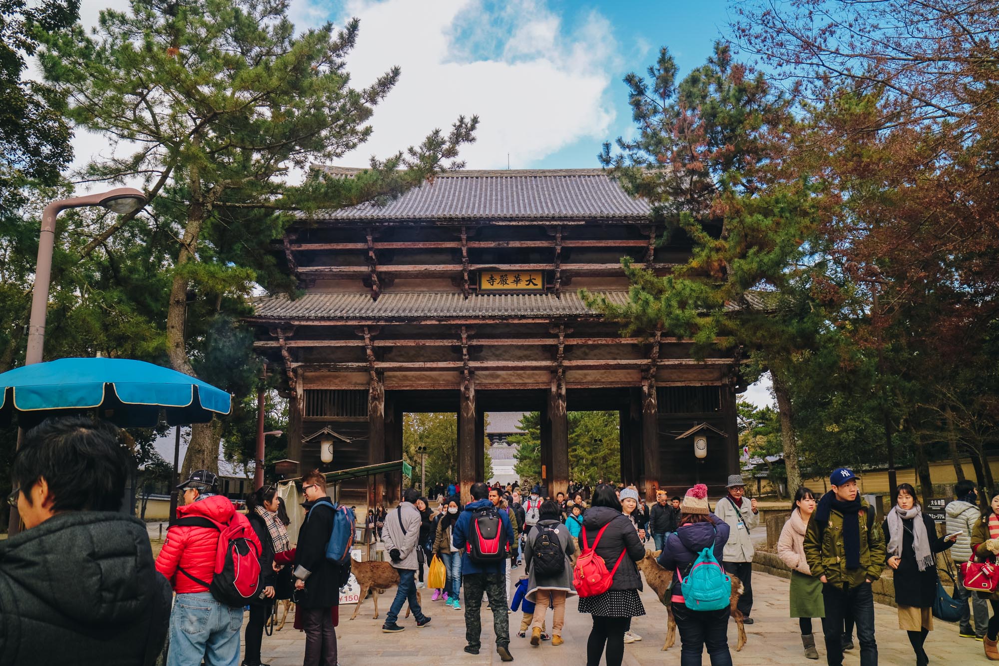 Nara-Park-奈良公園-kyoto-japan-darrenbloggie