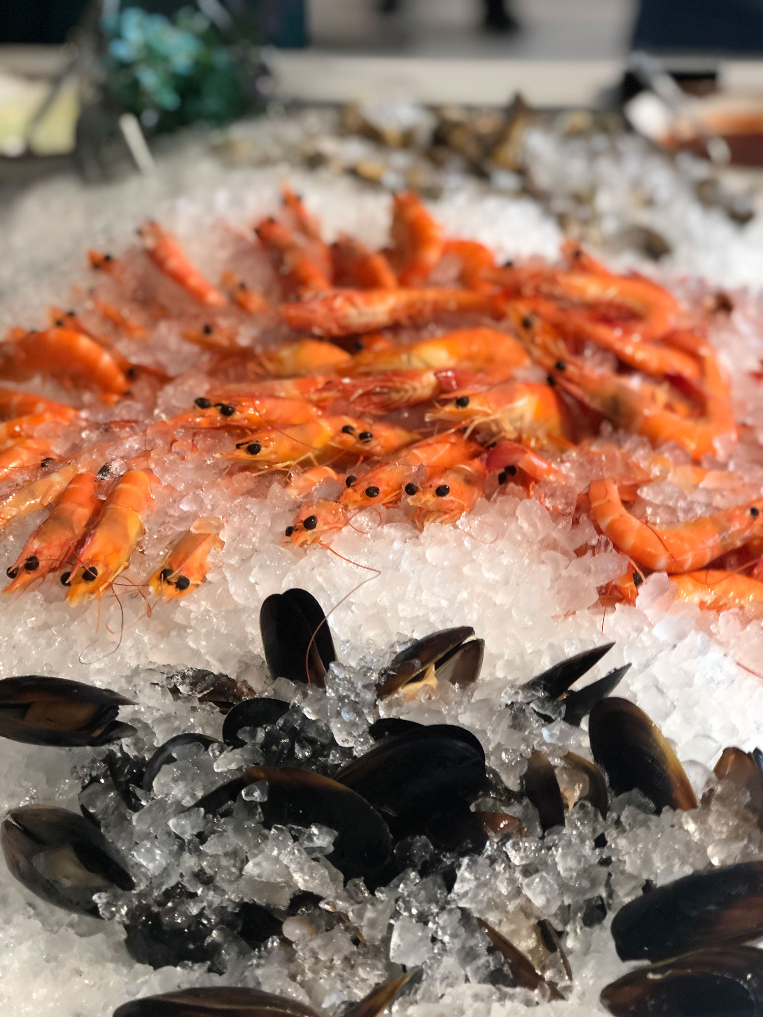 PHOTO - Novotel on Stevens / Seafood on Ice