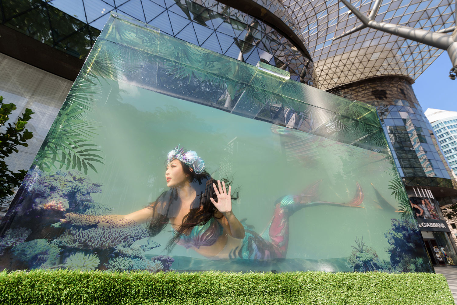 ION-Orchard_Spring-Summer-2019_Aquatic-Garden