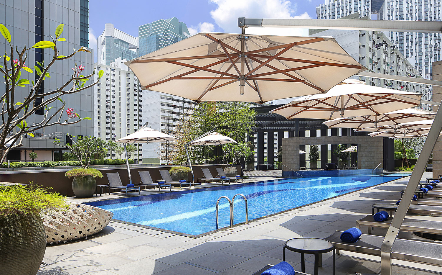 Carlton-City-Hotel-Singapore---Swimming Pool