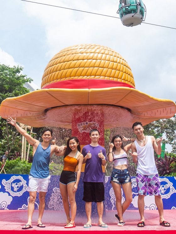 One Piece Showdown at Ocean Park Hong Kong Summer Water Battle