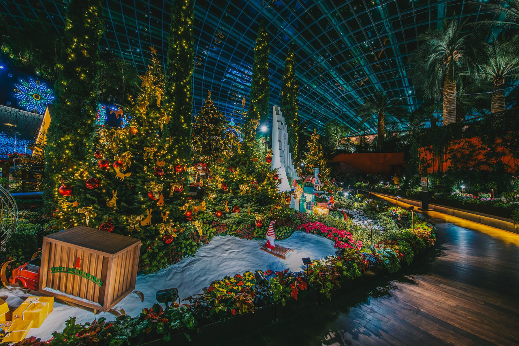 Poinsettia Wishes floral display at Gardens by the Bay