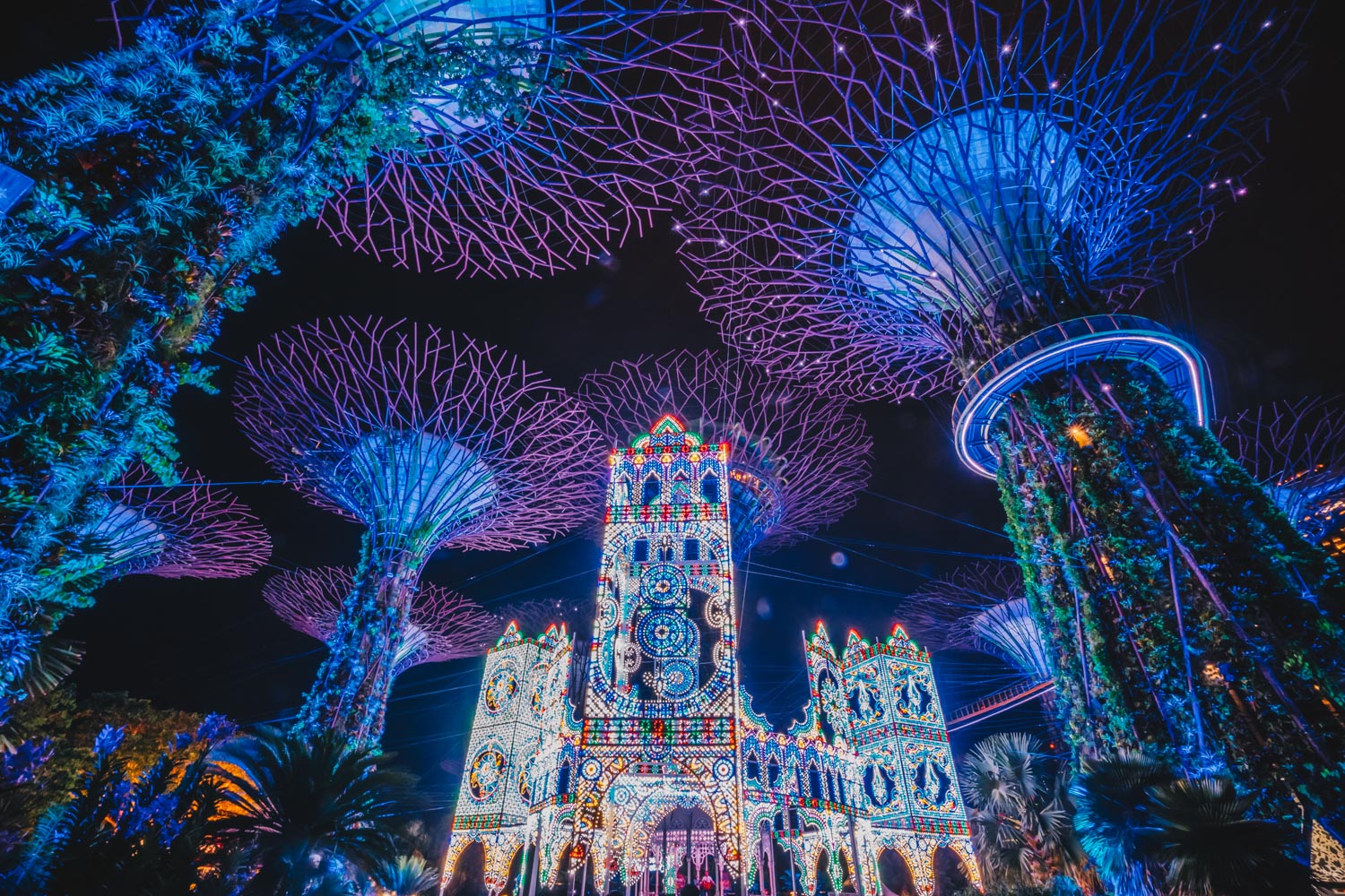 Christmas Wonderland 2019 at Gardens by the Bay
