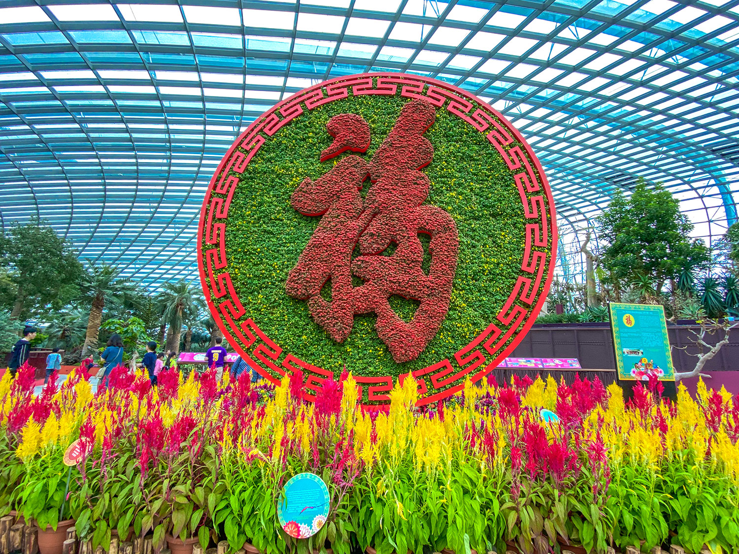 Dahlia Dreams 2020 at Gardens by the Bay