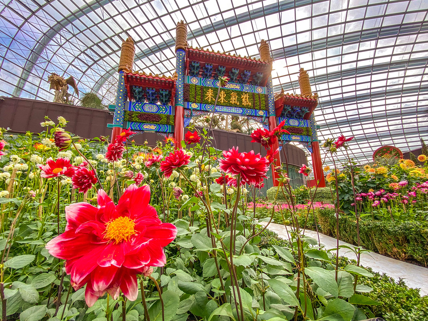 Dahlia Dreams 2020 at Gardens by the Bay