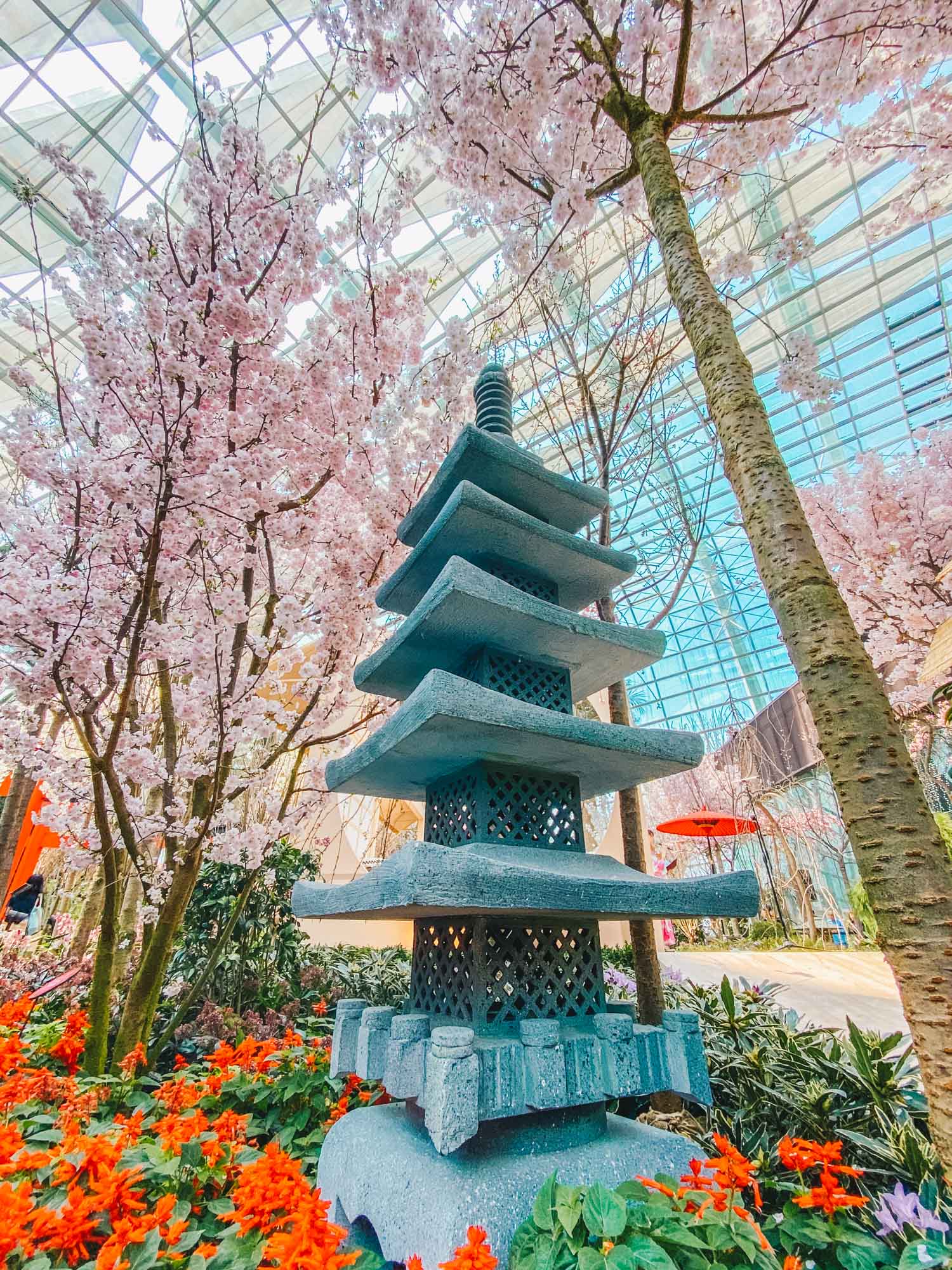 Sakura Matsuri at Gardens by the Bay 2020