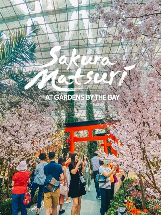 Sakura Matsuri at Gardens by the Bay 2020
