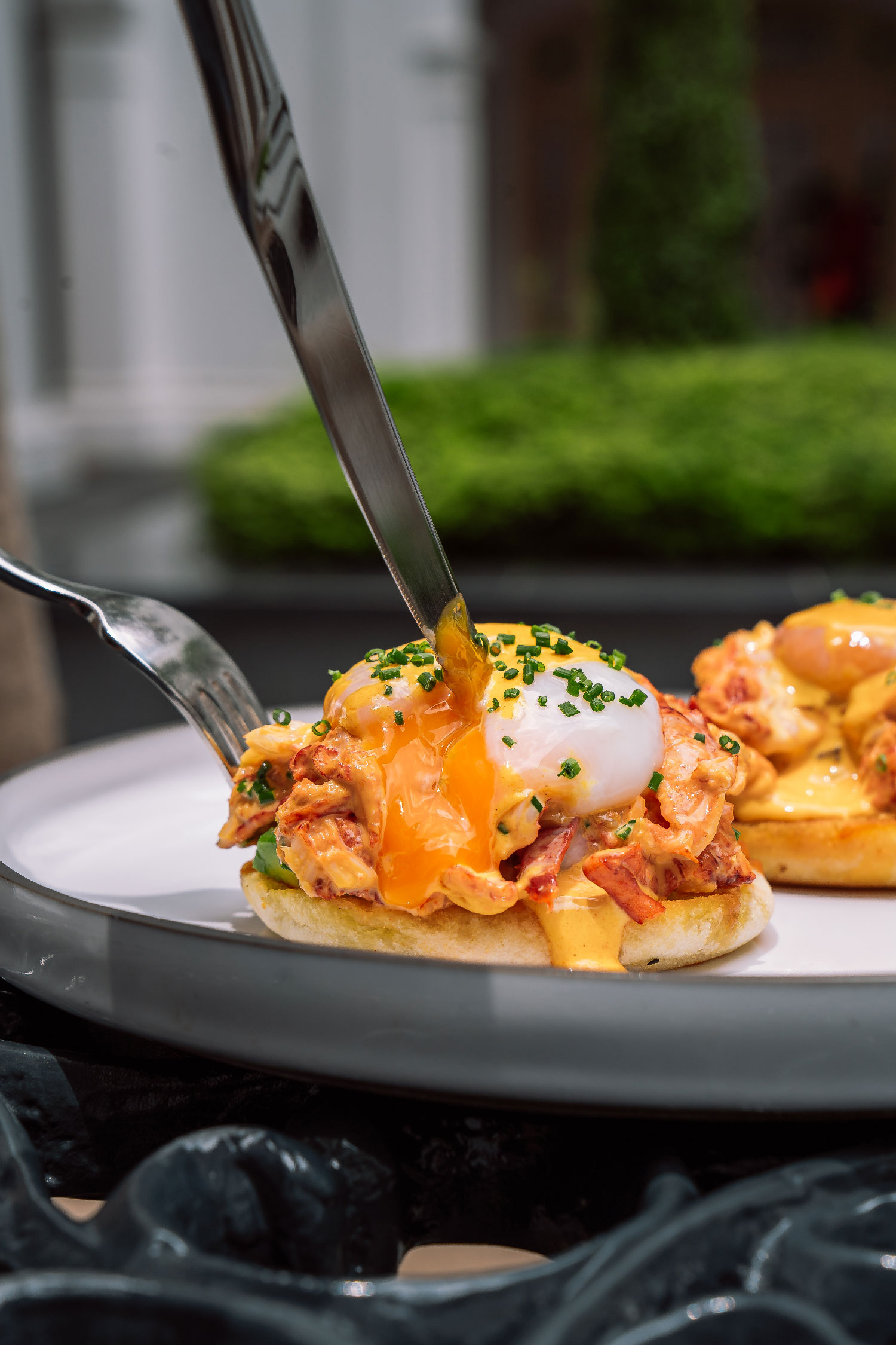Lobster-Egg-Benedicts