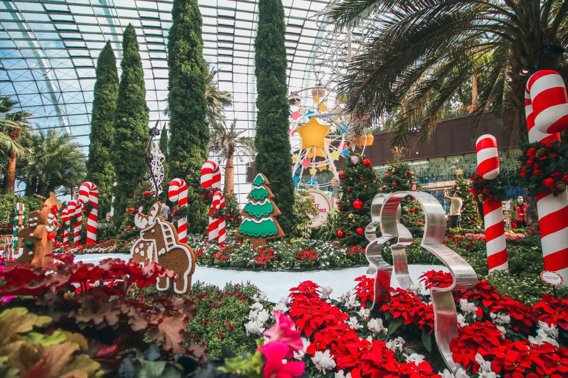 Poinsettia Wishes Floral Display at Gardens by the Bay