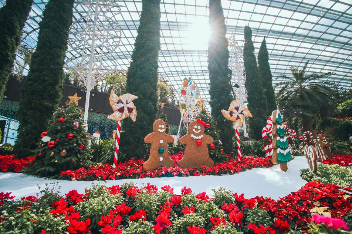 Poinsettia Wishes Floral Display at Gardens by the Bay