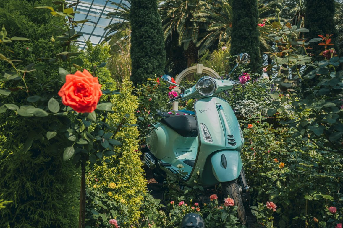 Rose Romance floral display at Gardens by the Bay