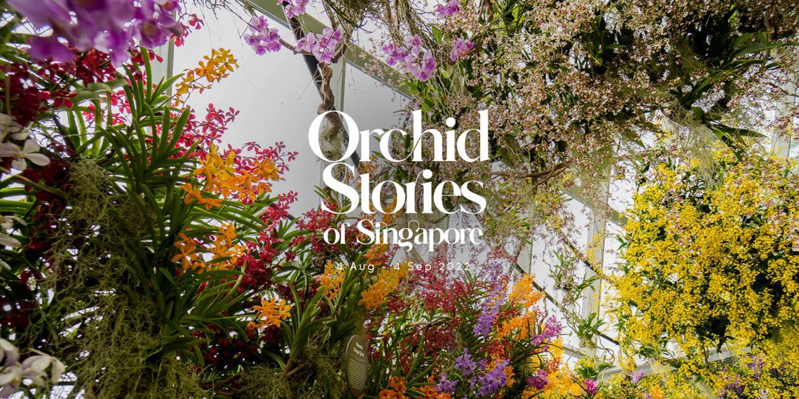 PHOTO - Orchid Stories of Singapore