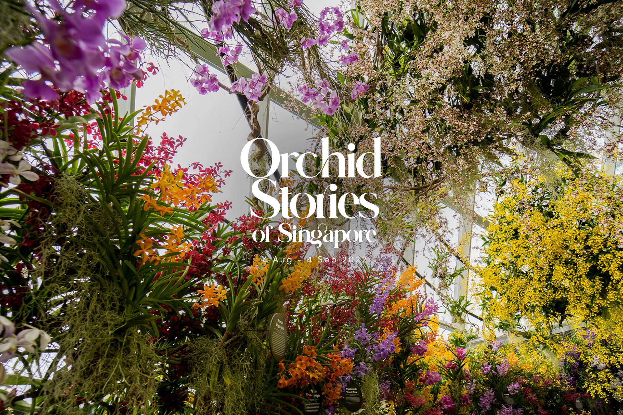 PHOTO - Orchid Stories of Singapore