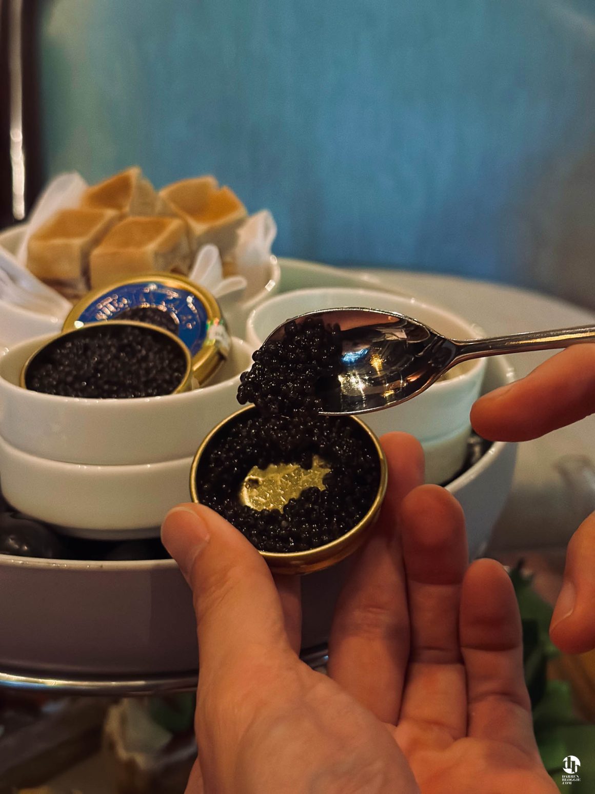 Caviar-chocolate-afternoon-tea-four-seasons-singapore-darrenbloggie
