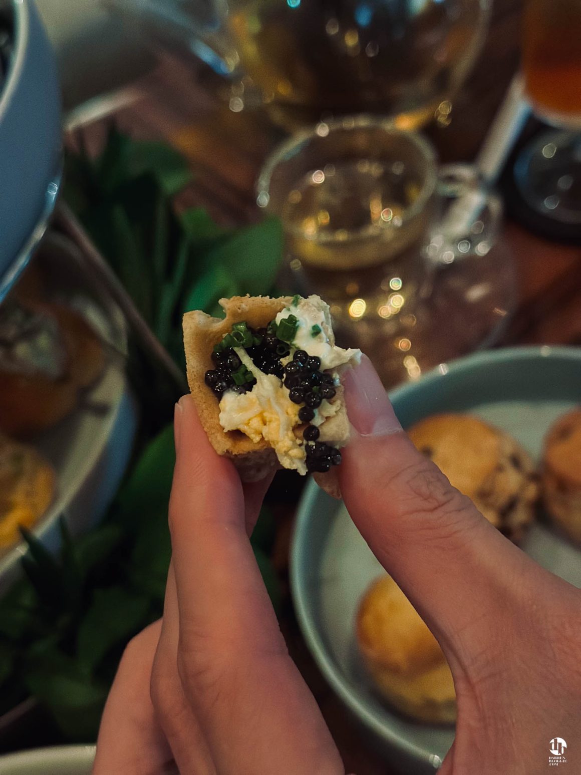 Caviar-chocolate-afternoon-tea-four-seasons-singapore-darrenbloggie
