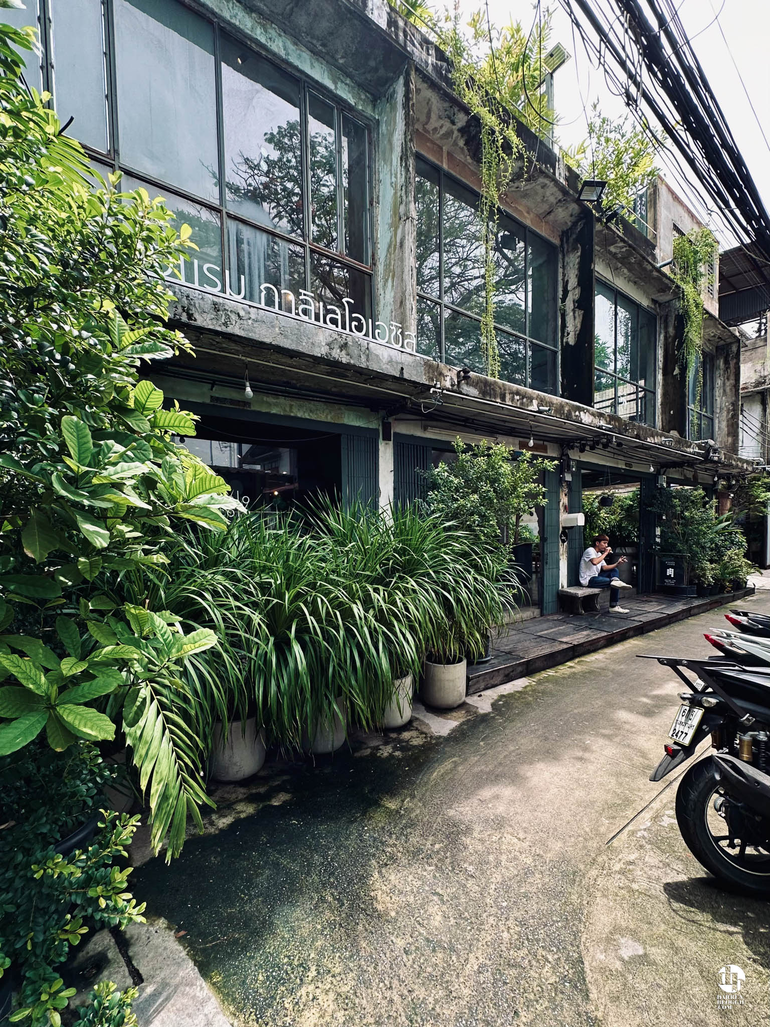 Piccolo Vicolo Cafe A hidden gem in Bangkok Darren Bloggie