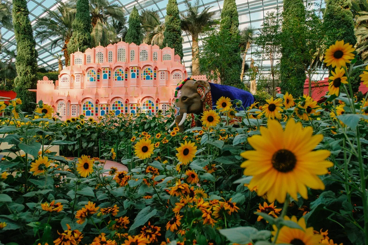 2025-10-16-SunflowerSurprise-